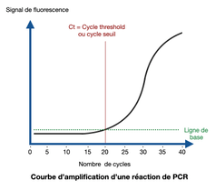 Courbe d’amplification d’une réaction de PCR