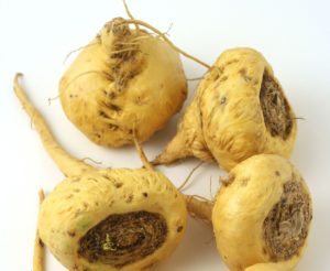 racine de Maca